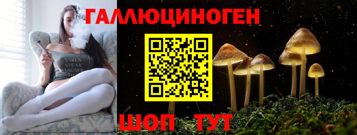 Омск  Псилоцибиновые грибы Psilocybe  цены наркотик  Вход с VPN 