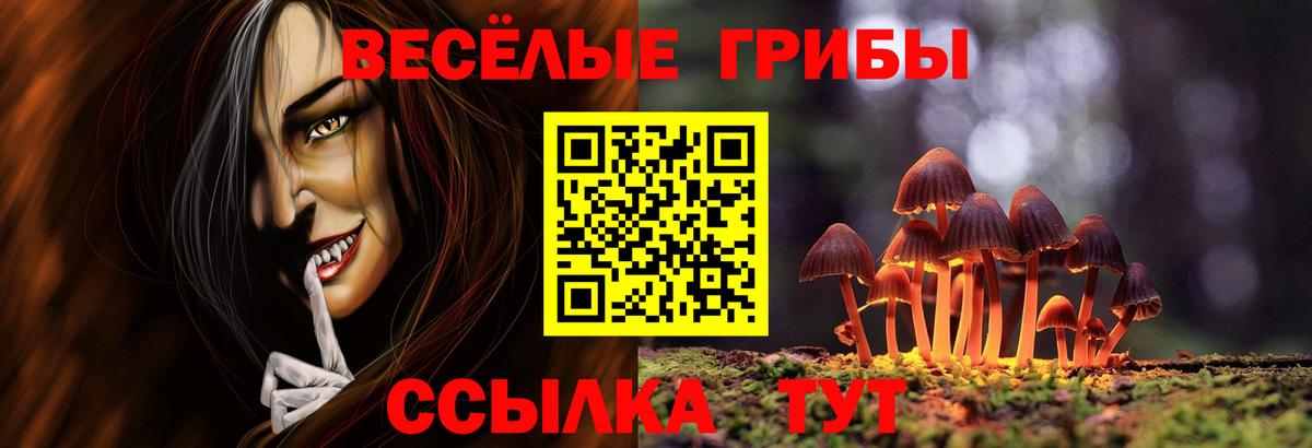 Псилоцибиновые грибы Cubensis Омск